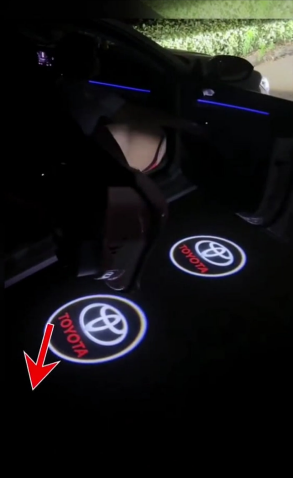 Projecteur de Logo LED pour Portière